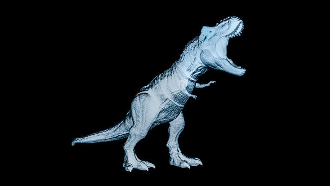 Jurassic Park à Liège